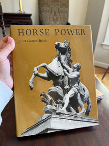 Hardback horse book