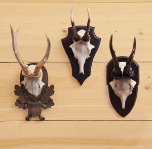 Set of 3 antler trophy reproductions