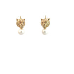 Load image into Gallery viewer, Tiger Earrings
