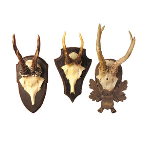Set of 3 antler trophy reproductions