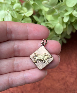 Dogs on Point Charm